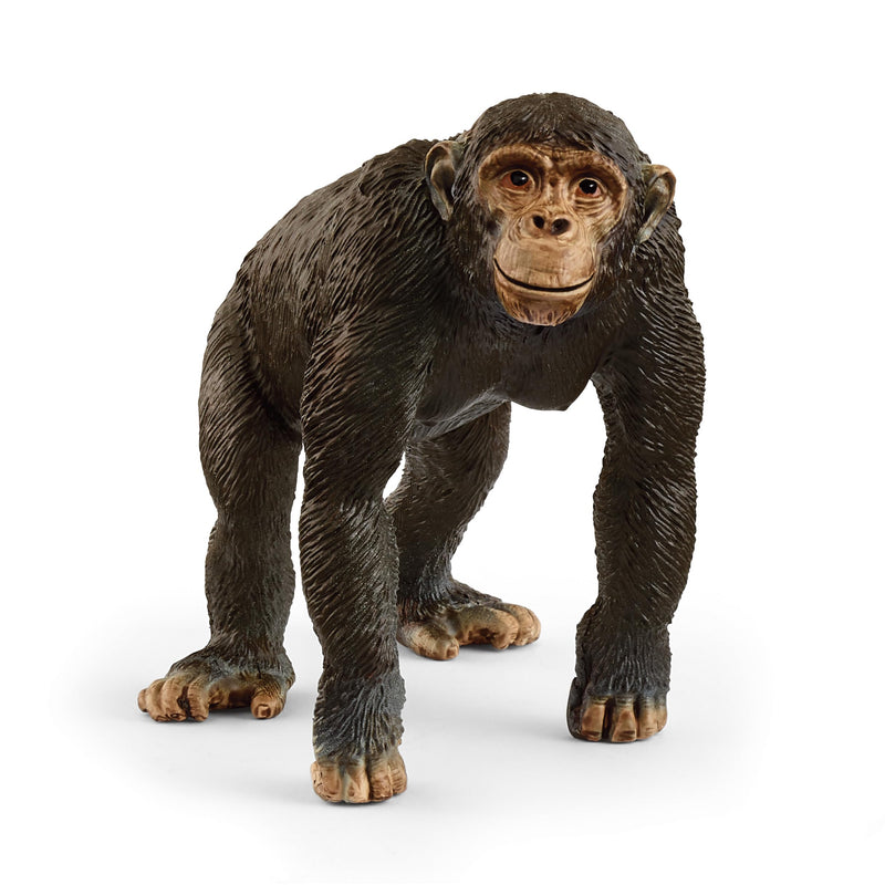 schleich 14883 Chimpanzee, from 3 years WILD LIFE - Figurine, 5 x 9 x 7 cm