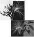 New Environments & Rhythm Studies