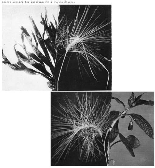 New Environments & Rhythm Studies