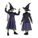 Wicked Elphaba Kids Fancy Dress, Includes Detailed Hat and Outfit with Mesh Cape, Officially Licensed, Comfortable and Detailed Design, Inspired by Elphaba's Classic Look, for Ages 3-4, 4-6, 7-8 Years