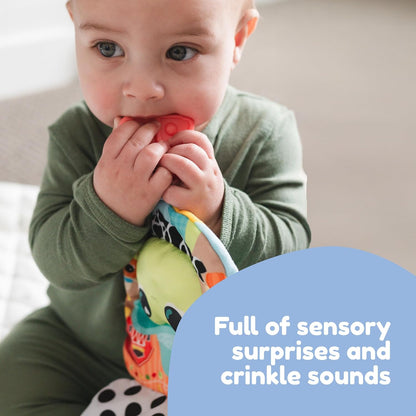 ** Lamaze Finlee The Frog Look Book