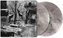Oddities & Rarities 2001-2004