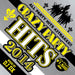 DJ Dx - Crazy Party Hits 2014  MKDR-4