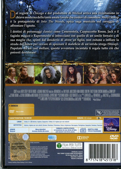 Into the Woods (DVD