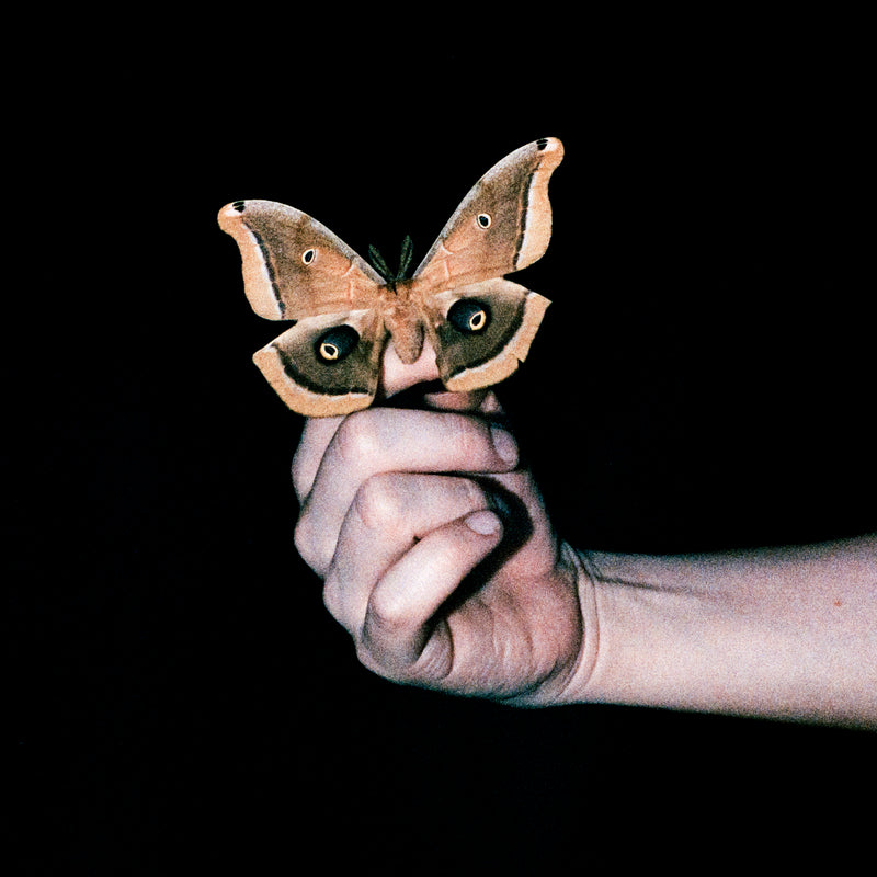 All Systems Are Lying