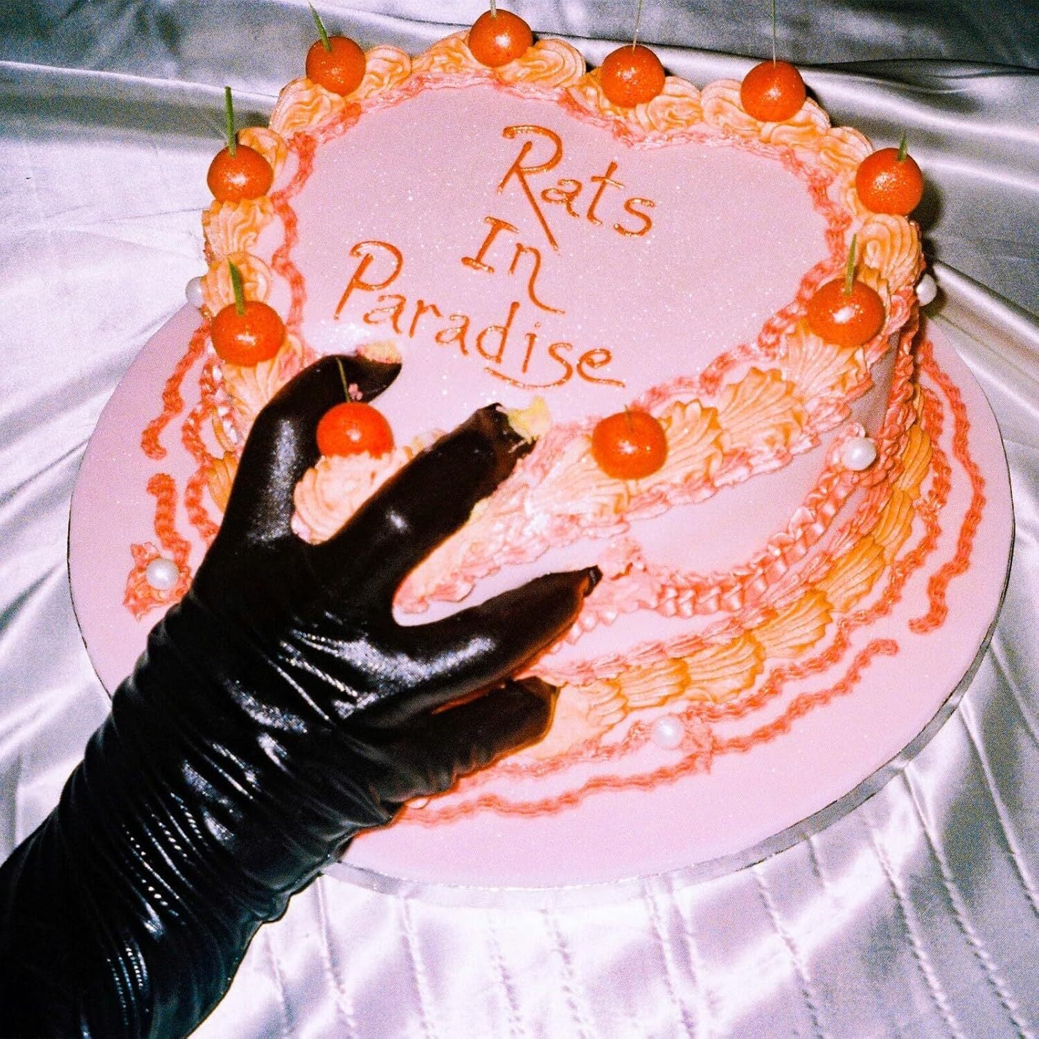 Rats in Paradise
