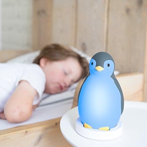 Zazu - PAM Sleeptrainer GREY