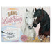 Depesche 13433 Miss Melody - Handlettering brievenbus met paardenmotief, schrijfset incl. briefpapier, enveloppen, stickers, pennen en nog veel meer.