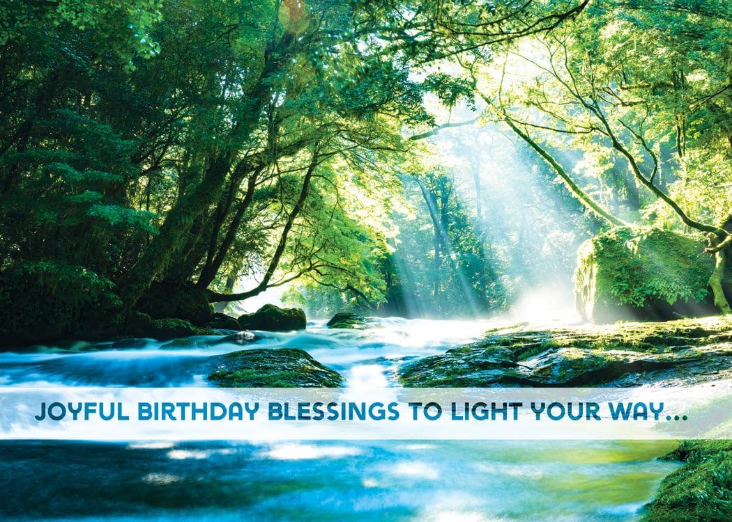 Greeting Cards Assortment Box - Vibrant Views (KJV) - Birthday Greeting Cards - Christian Greeting Cards Assortment with Envelopes - Bible Verse Cards - Scripture Cards with Bible Verses - Box of 12