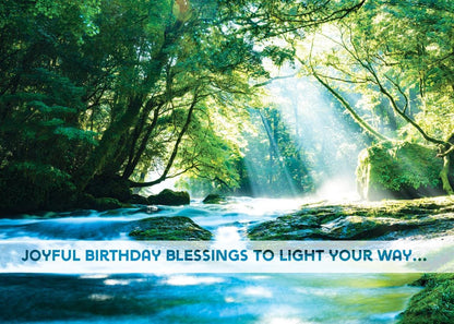 Greeting Cards Assortment Box - Vibrant Views (KJV) - Birthday Greeting Cards - Christian Greeting Cards Assortment with Envelopes - Bible Verse Cards - Scripture Cards with Bible Verses - Box of 12