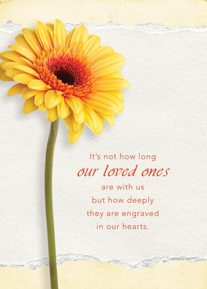 Warner Press Card-Boxed-Journey of The Heart Assorted Sympathy (NIV) (Box of 12
