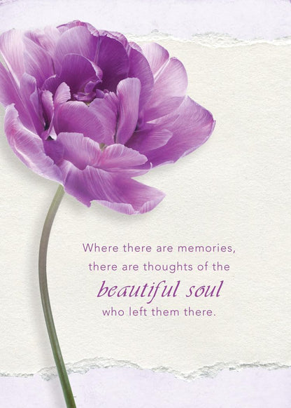 Warner Press Card-Boxed-Journey of The Heart Assorted Sympathy (NIV) (Box of 12