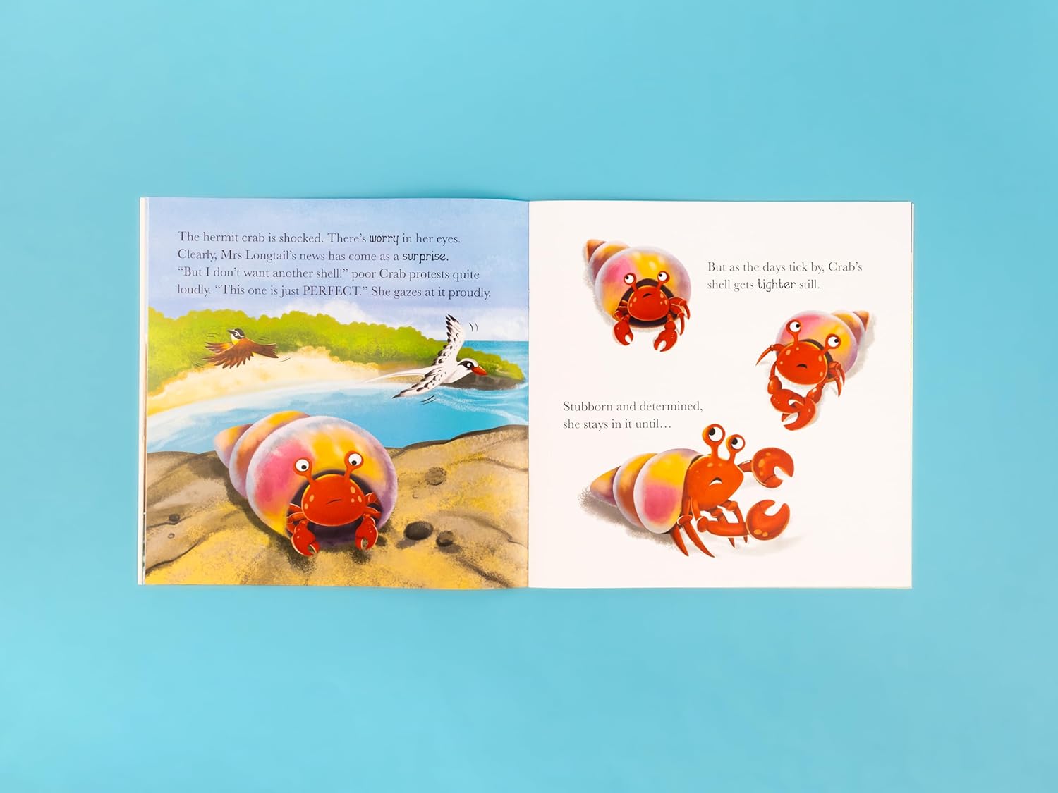 When Crab Feels Calm - Me And My Feelings Children's Paperback Book