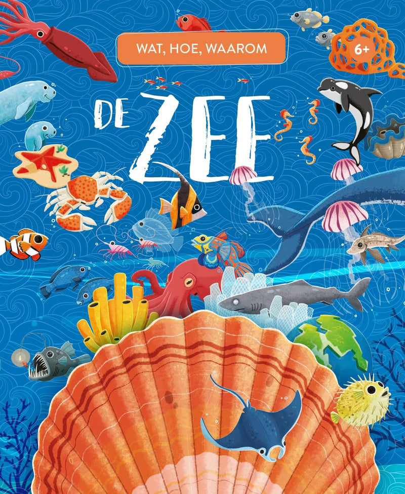 Rebo Publishers - De Zee - Wat Hoe en Waarom