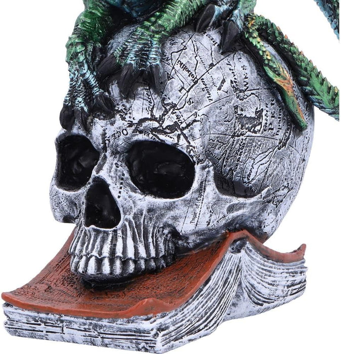 Nemesis Now Resin Dragon Statue - Hand-Painted Dragon Figure Perched on a Metallic Skull and Book - Gifts & Decor for Fantasy Lovers - Ignisars Rule