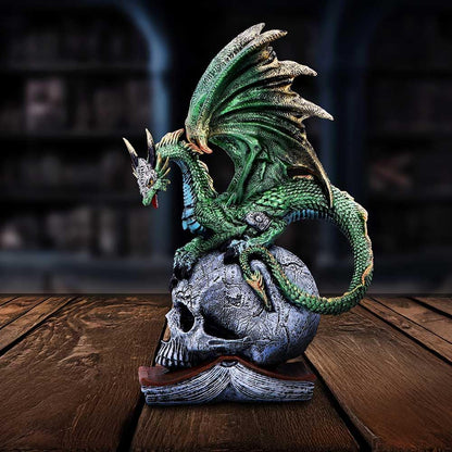 Nemesis Now Resin Dragon Statue - Hand-Painted Dragon Figure Perched on a Metallic Skull and Book - Gifts & Decor for Fantasy Lovers - Ignisars Rule