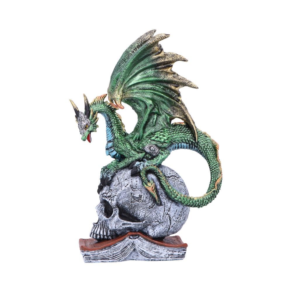 Nemesis Now Resin Dragon Statue - Hand-Painted Dragon Figure Perched on a Metallic Skull and Book - Gifts & Decor for Fantasy Lovers - Ignisars Rule