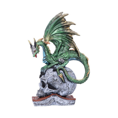 Nemesis Now Resin Dragon Statue - Hand-Painted Dragon Figure Perched on a Metallic Skull and Book - Gifts & Decor for Fantasy Lovers - Ignisars Rule