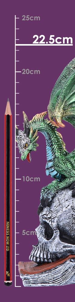 Nemesis Now Resin Dragon Statue - Hand-Painted Dragon Figure Perched on a Metallic Skull and Book - Gifts & Decor for Fantasy Lovers - Ignisars Rule