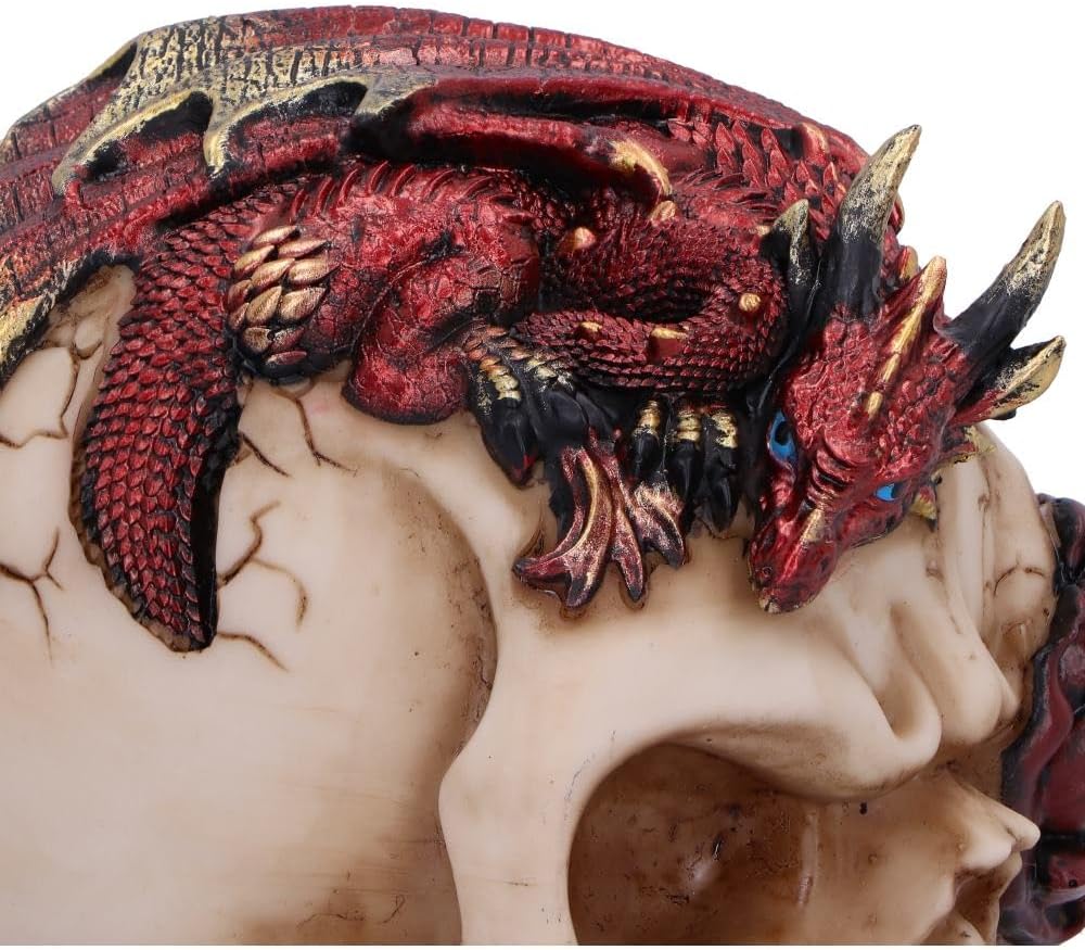 Nemesis Now Rose Flame Skull Figurine – Sleeping Red Dragon on Bone-Colored Skull with Rose and Cracked Finish, Resin Decor 14.5 cm