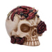 Nemesis Now Rose Flame Skull Figurine – Sleeping Red Dragon on Bone-Colored Skull with Rose and Cracked Finish, Resin Decor 14.5 cm