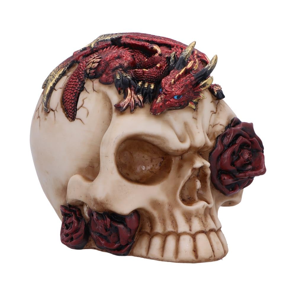 Nemesis Now Rose Flame Skull Figurine – Sleeping Red Dragon on Bone-Colored Skull with Rose and Cracked Finish, Resin Decor 14.5 cm