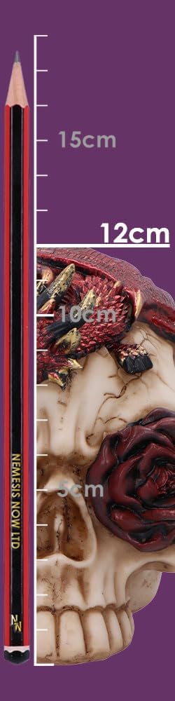 Nemesis Now Rose Flame Skull Figurine – Sleeping Red Dragon on Bone-Colored Skull with Rose and Cracked Finish, Resin Decor 14.5 cm