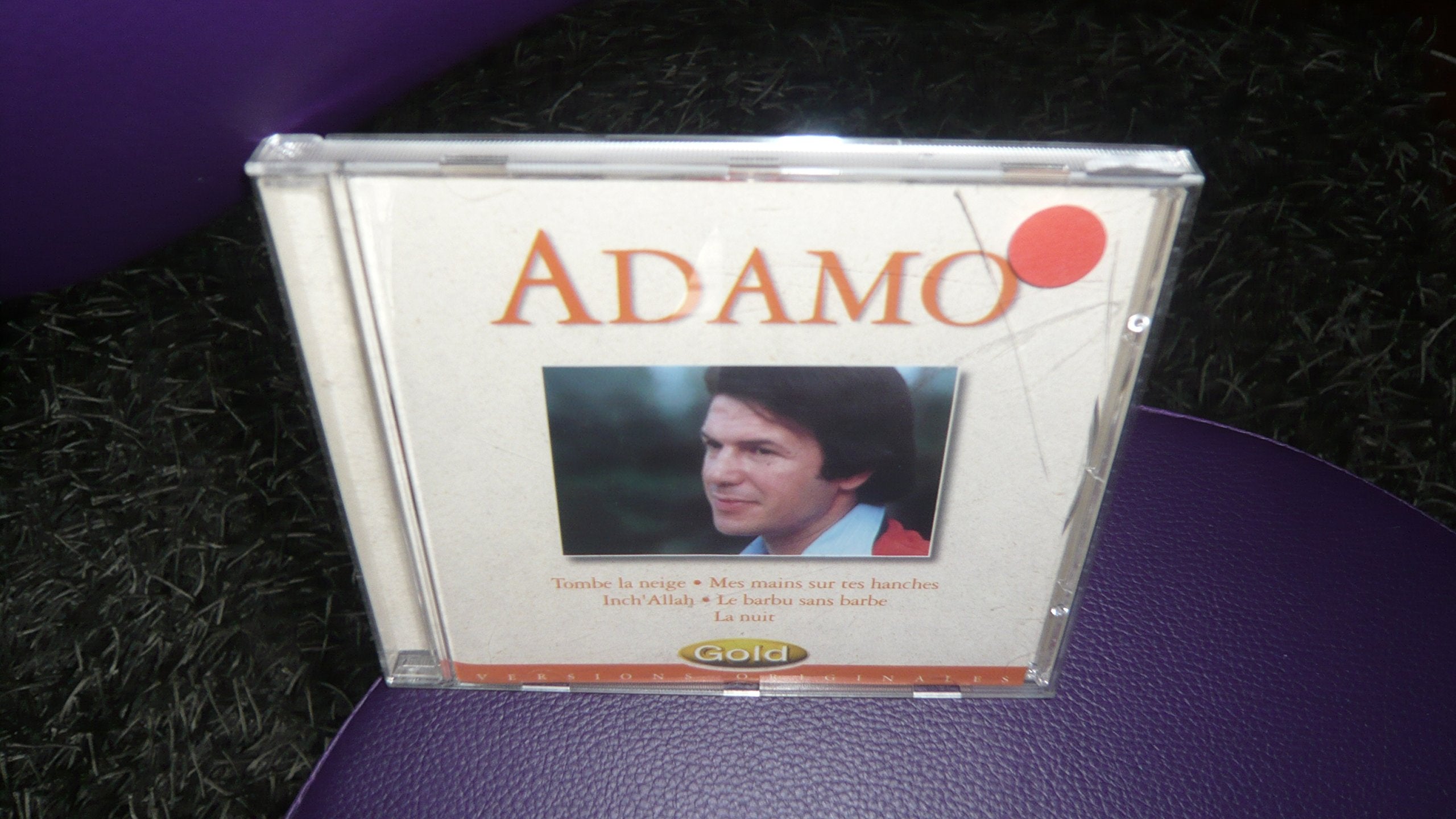 Adamo ; Tombe la neige, Mes mains sur tes hanches...