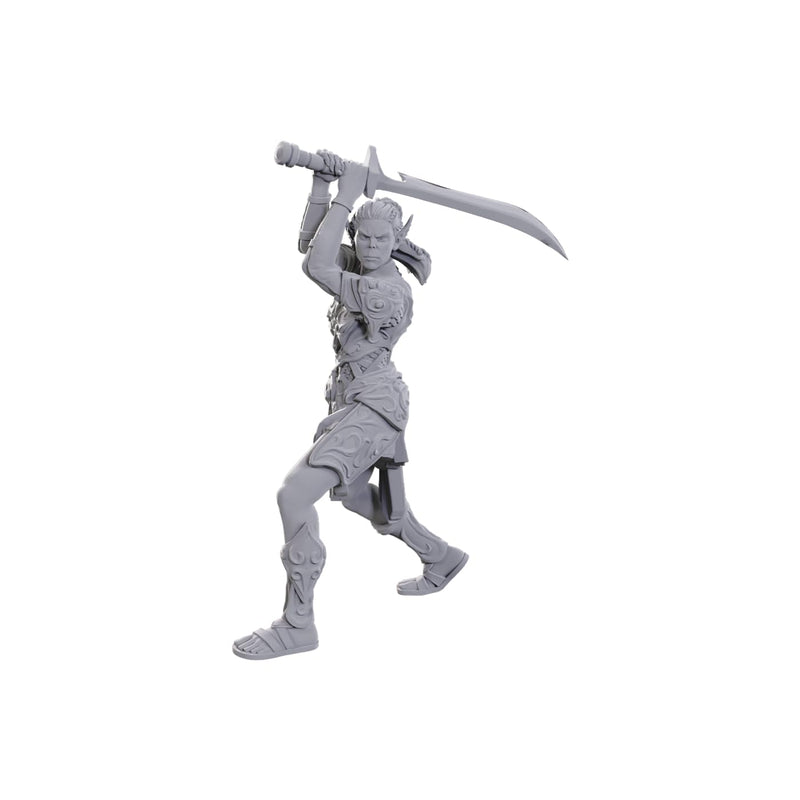WizKids D&D Nolzur's Marvelous Miniatures: Special Edition Baldur's Gate 3 (Lae'zel & Shadowheart