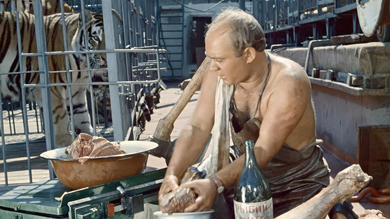 Rette sich wer kann! (DEFA Filmjuwelen