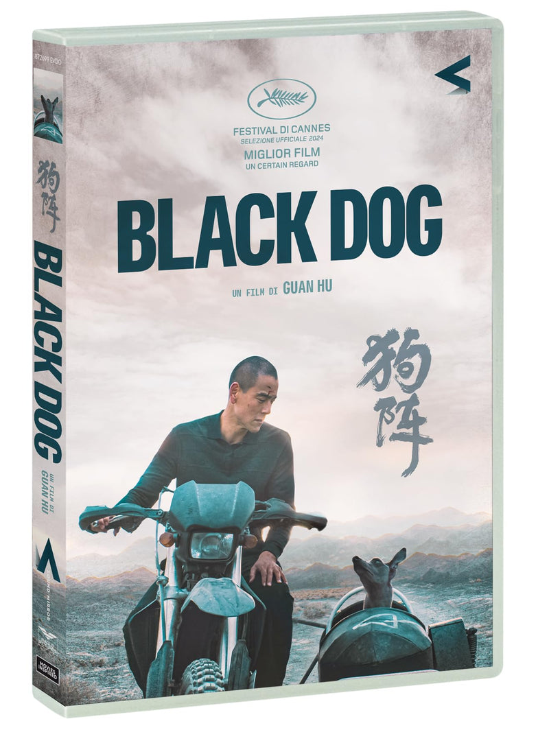 Black Dog