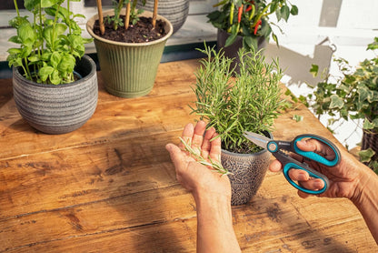 GARDENA HerbCut: stainless steel herb scissors for cutting herbs with woody stems, 52 mm blades, handles made from recycled plastic, with leaf stripper for herbs like rosemary (12214-20