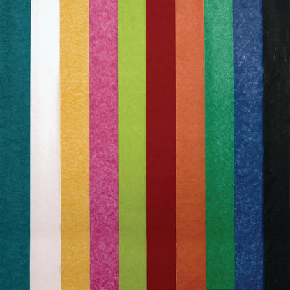 Colorations REGTIS Premium Art Tissue Papier Kleurvast (Pak van 50