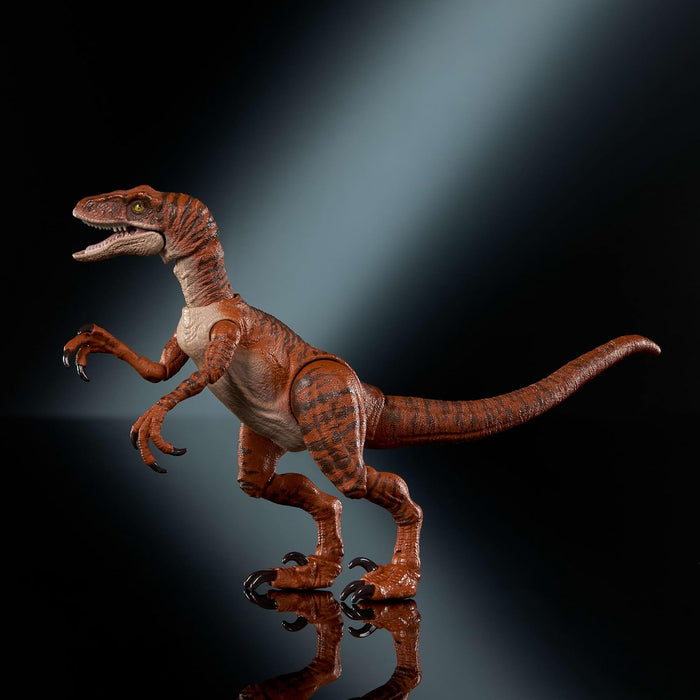 Mattel Jurassic World Hammond Collection Dinosaur Action Figure Toy Age 8+, Atrociraptor Tiger, Premium Movie Design Glass Eyes & 13 Points Articulation, JDJ09