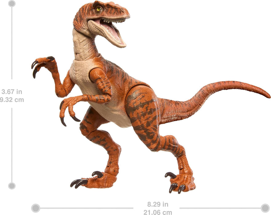 Mattel Jurassic World Hammond Collection Dinosaur Action Figure Toy Age 8+, Atrociraptor Tiger, Premium Movie Design Glass Eyes & 13 Points Articulation, JDJ09