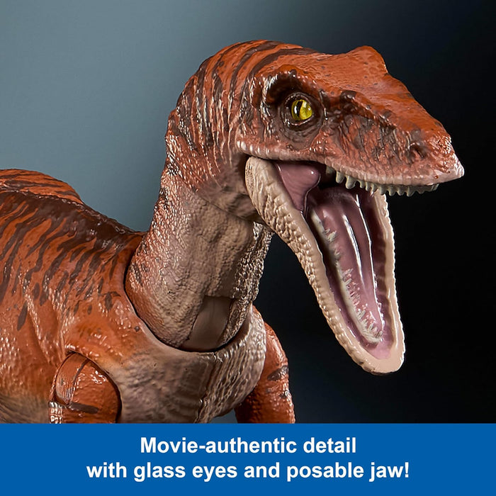 Mattel Jurassic World Hammond Collection Dinosaur Action Figure Toy Age 8+, Atrociraptor Tiger, Premium Movie Design Glass Eyes & 13 Points Articulation, JDJ09