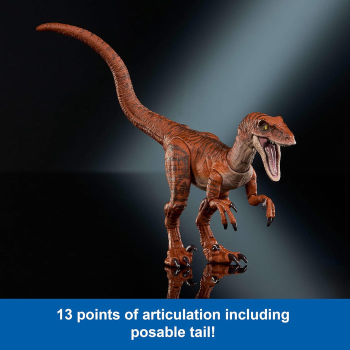 Mattel Jurassic World Hammond Collection Dinosaur Action Figure Toy Age 8+, Atrociraptor Tiger, Premium Movie Design Glass Eyes & 13 Points Articulation, JDJ09