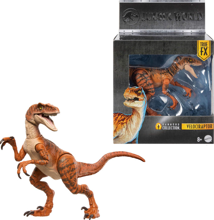 Mattel Jurassic World Hammond Collection Dinosaur Action Figure Toy Age 8+, Atrociraptor Tiger, Premium Movie Design Glass Eyes & 13 Points Articulation, JDJ09