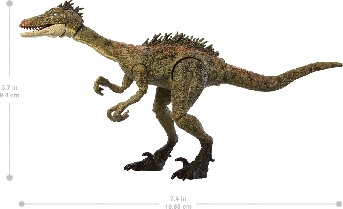 Mattel Jurassic World Hammond Collection Dinosaur Action Figure Toy Troodon Species Age 8+, Premium Movie Design Glass Eyes & 14 Points Articulation, JDJ11