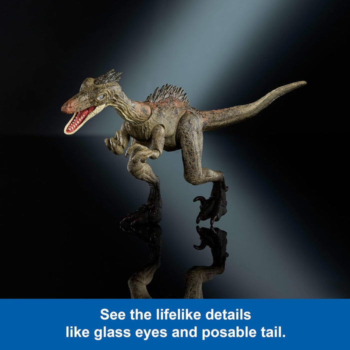Mattel Jurassic World Hammond Collection Dinosaur Action Figure Toy Troodon Species Age 8+, Premium Movie Design Glass Eyes & 14 Points Articulation, JDJ11