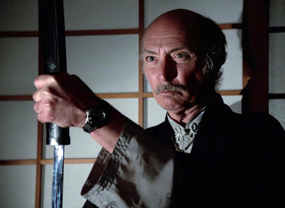 Der Ninja-Meister (die Komplette Serie