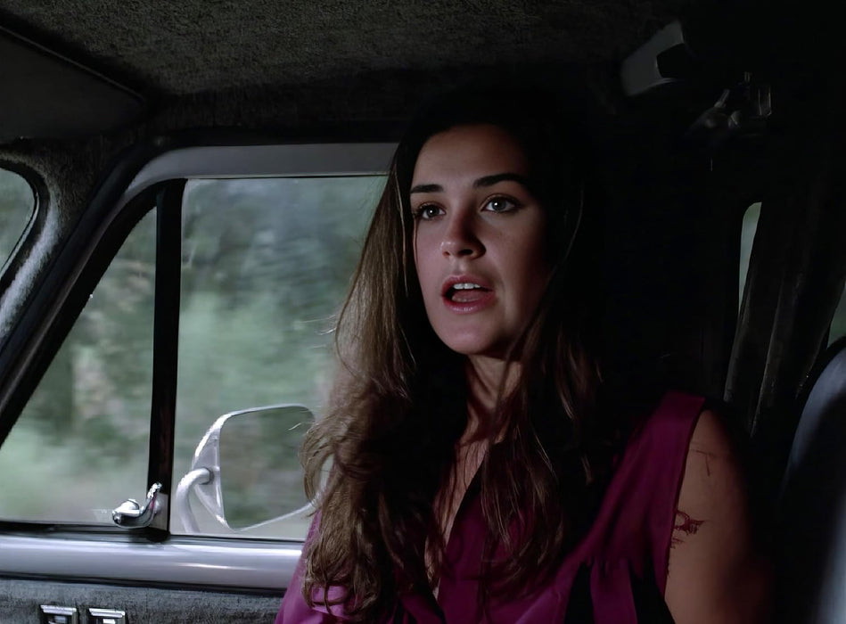 Der Ninja-Meister (die Komplette Serie)