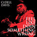 Feel Like Doin' Something Wrong