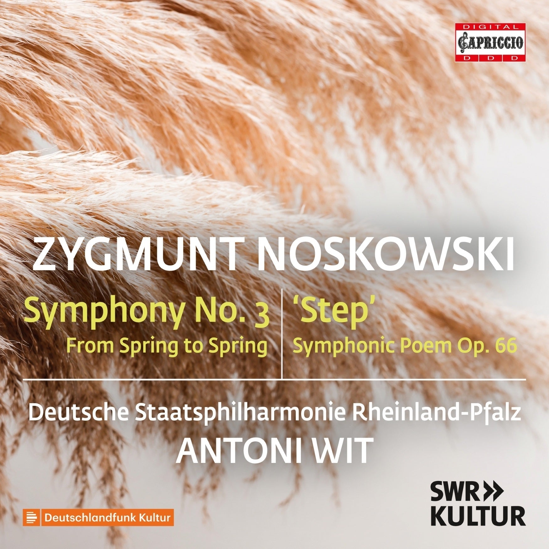 Zygmunt Noskowski: Symphony No. 3 'From Spring to Spring'/...