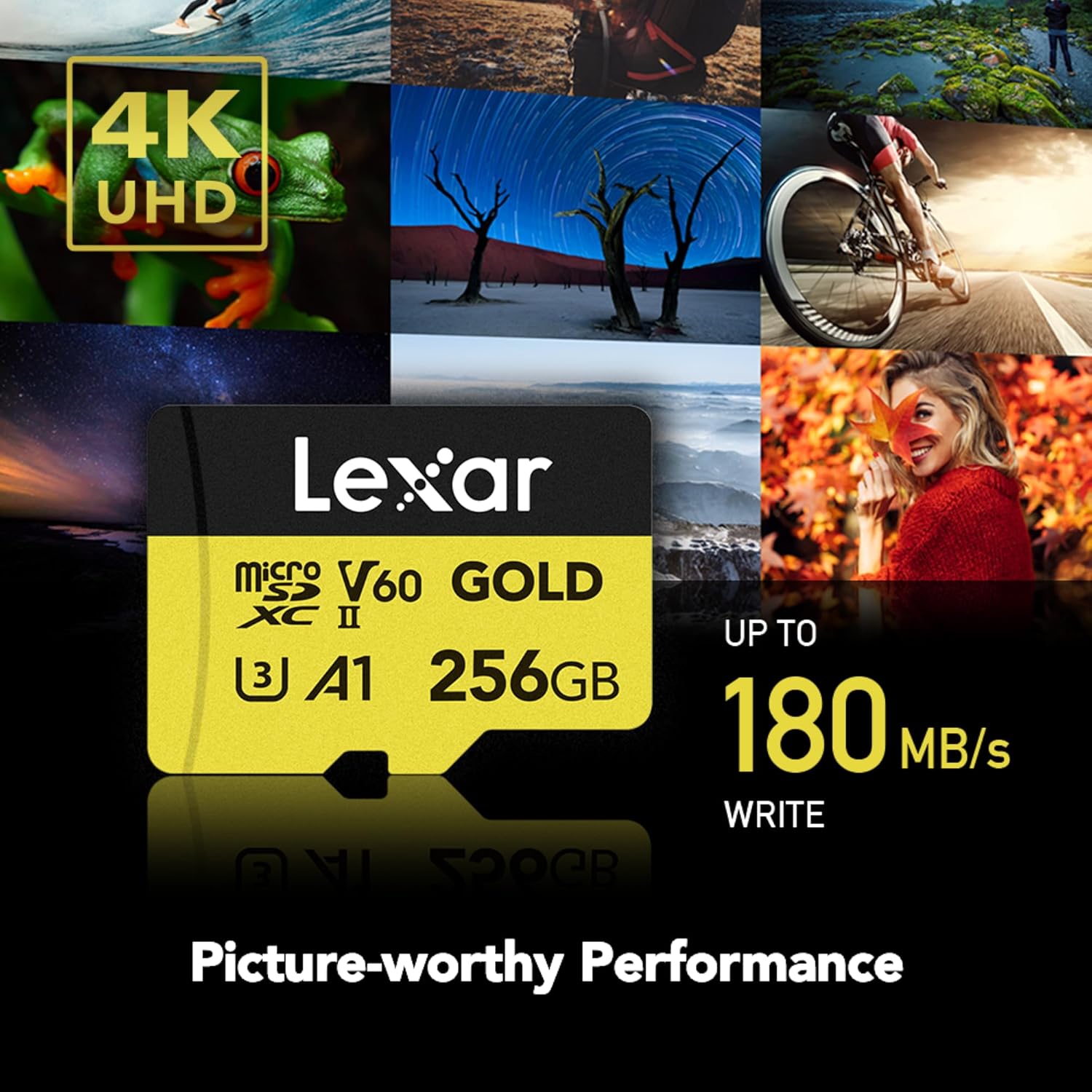 microSDXC Gold Series UHS-II 256GB V60 Memory Card