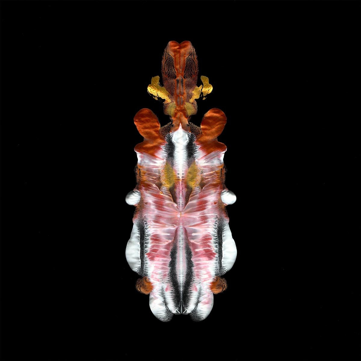 The Will To Burn (Indie Exclusive, Gold Vinyl)