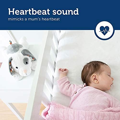 Zazu - DEX Musical Soft Toy