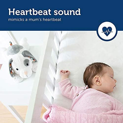 Zazu - DEX Musical Soft Toy