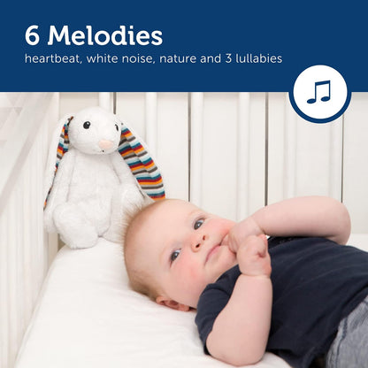 Zazu - BIBI Musical Soft Toy