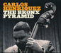 The Bronx Pyramid